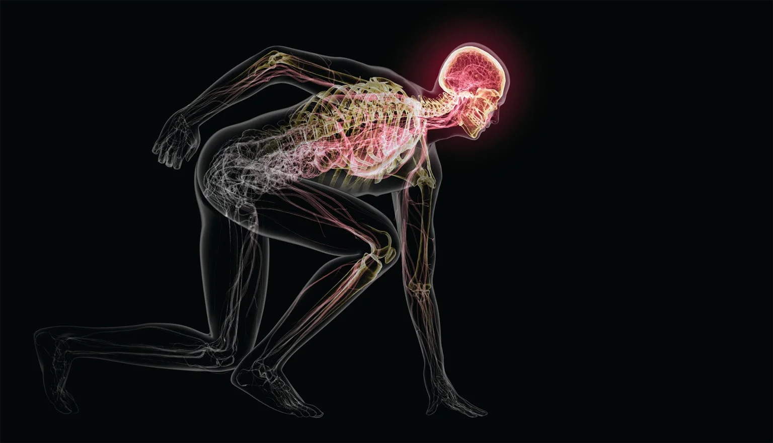 how fitness enhances brain and bone health